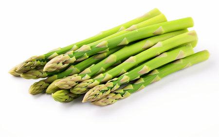 Green Asparagus on White Backgroundの素材