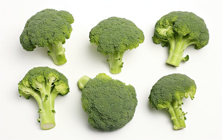 Vibrant Green Broccoli on White Backgroundの素材