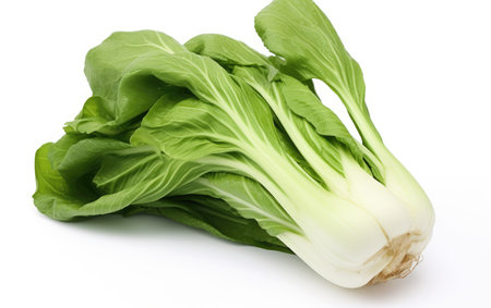 Bok Choy Alone White Backgroundの素材