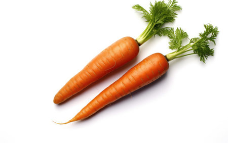 Simplified Veggie Highlight White Backgroundの素材