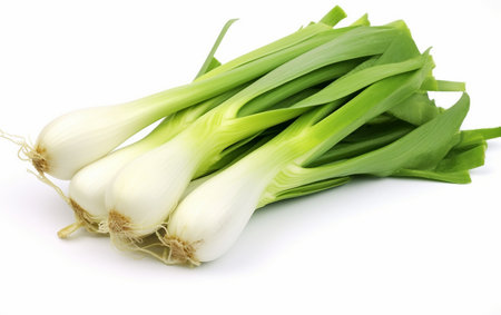 Leeks Snapshot White Backgroundの素材