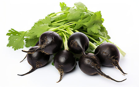 Black Radish Isolated on White Backgroundの素材