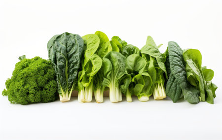 Vibrant Spinach and Kale Assortment on white backgroundの素材