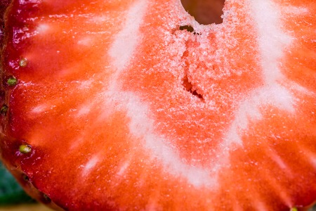 strawberry texture shotの写真素材