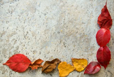 A colorful fall leaves frame on a gray stony floorの写真素材