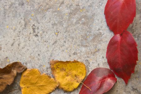A colorful fall leaves frame on a gray stony floorの写真素材