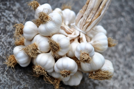Garlic bulbs braid on a gray raw stone tableの写真素材