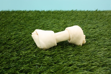 Dog Bone Sitting In A Grass Area