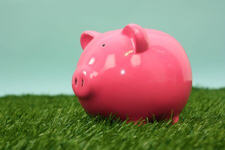 Pink Piggy Bank In The Green Grassの写真素材