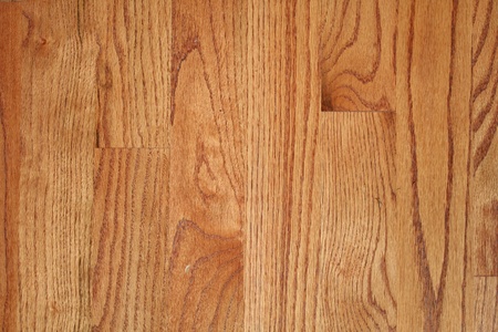 Hardwood floor in a houseの写真素材