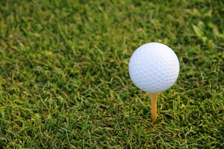Golf ball with a tee on courseの写真素材
