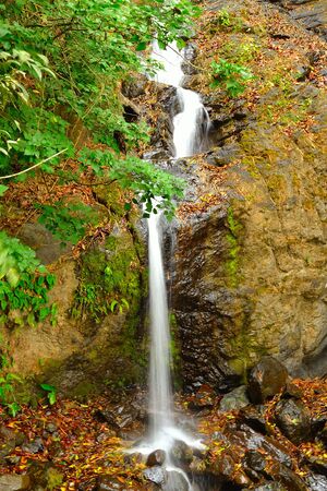 Waterfall on a hike in San Antonの写真素材