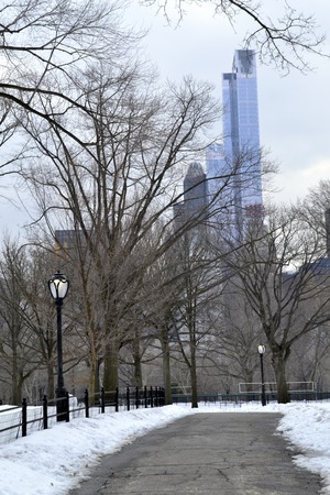 Winter walk in Central Park after a snowy morningの写真素材