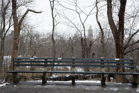 Central Park was initially opened in 1857 and expanded in 1873. It has an expansion of 843 (3.4 square km) acres and is located in the heart of Manhattanの写真素材