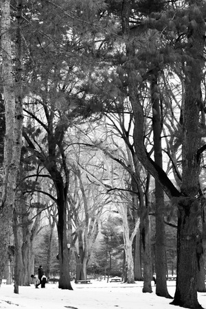 Central Park was initially opened in 1857 and expanded in 1873. の写真素材
