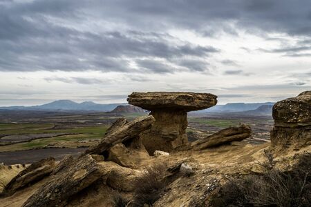 Bardenas reales
