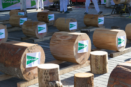 DECEMBER 21ST 2017, BILBAO, SPAIN-Wood chopping competition for the festivity of St. Thomasのeditorial素材
