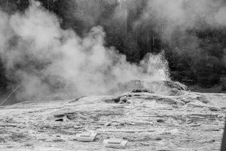 Bijou and Catfish geysers before an eruption in the upper geyser basin in Yellowstone in black and whiteの写真素材