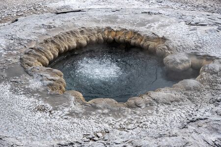 Aurum geyser before an eruption in the upper geyser basin in Yellowstone