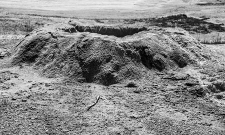 Sponge geyser before an eruption in the upper geyser basin in Yellowstone