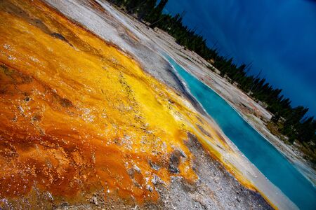 Hot springs in Yellowstone of vivid colors caused by thermophilic bacteriaの写真素材