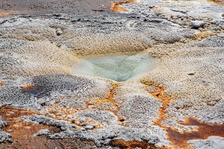 Orange and white hot spring in Yellowstone in yellowstone national park