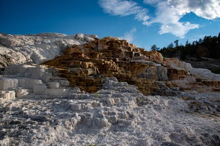 Minerva Terraces at the lower Mammoth Hot Springs in YellowstoneNational Parkの写真素材