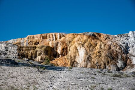 Minerva Terraces at the lower Mammoth Hot Springs in YellowstoneNational Parkの写真素材