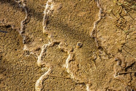 Minerva Terraces at the lower Mammoth Hot Springs in YellowstoneNational Park