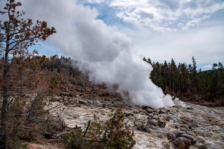 Steamboat geyser during an eruption in the Norris geyser basin in Yellowstoneの写真素材