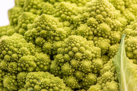 Romanesco cauliflower is an edible flower originated in Italyの写真素材