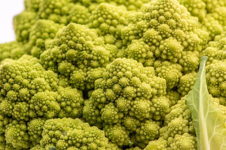 Romanesco cauliflower is an edible flower originated in Italyの素材 [FY310138269221]