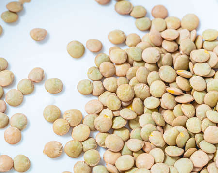 Lentil grains background. Vegan food.の写真素材