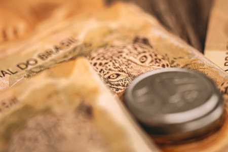 Real currency (BRL) - Money from Brazil. Money, Reais, Brazilian Real, Brazil. Brazilian banknotes...