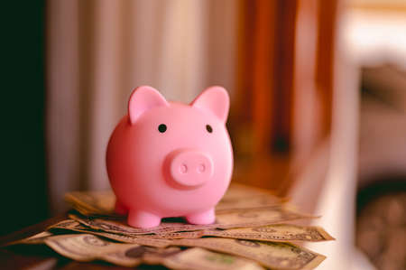 Pink piggy bank on a stack of dollars. The concept of saving money.の写真素材