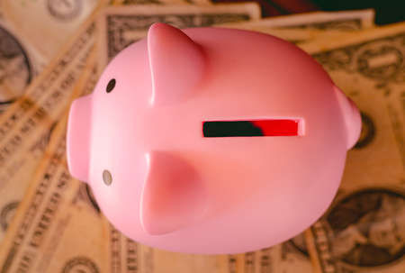 Piggy bank with dollar banknotes. Saving money concept.