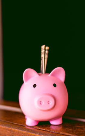 Pink piggy bank with a wooden handle on a green background.の写真素材