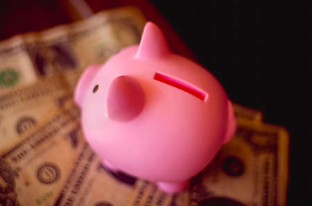 Pink piggy bank on a background of dollar bills. Saving money concept.の写真素材