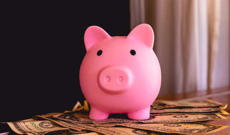 Pink piggy bank on a pile of money on a black backgroundの写真素材