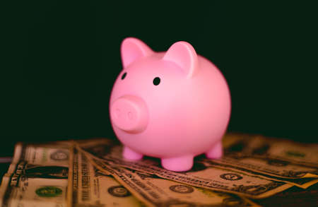 Pink piggy bank on the background of dollars. The concept of saving money.の写真素材