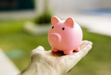 Close-up Of Person Hand Holding Pink Piggybank In Garden