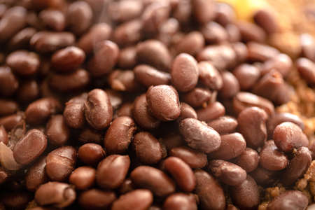 Coffee beans on a brown background. Close-up.の写真素材