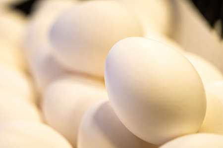 Close up of white chicken eggs in a row. Selective focus.
