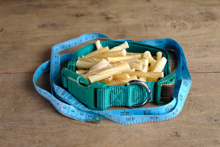 collar and dog bone on wooden background. it is snack for dogの写真素材
