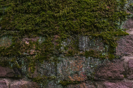 texture wall grungeの写真素材