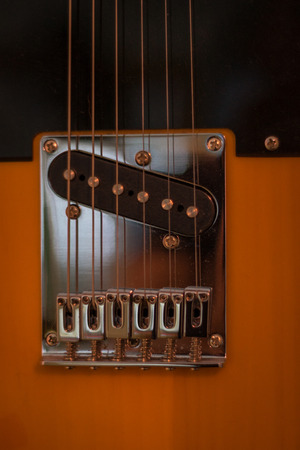 butterscotch guitar details