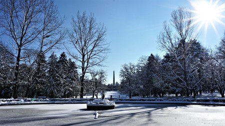 Winter Sun.Winter in the Park,Sofia, Bulgariaの写真素材