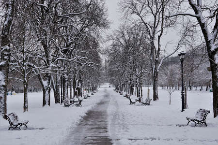 Winter in the Park. Sofia, Bulgariaの写真素材