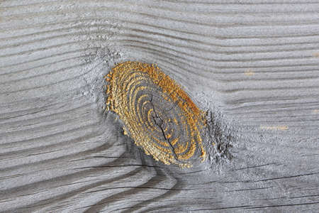 A closeup of a weathered wooden fenceの写真素材