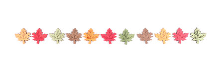 A line of wooden decorative leaves of a tree isolated on whiteの写真素材